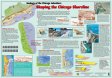 Geology of the Chicago Lakeshore: Shaping the Chicago Shoreline